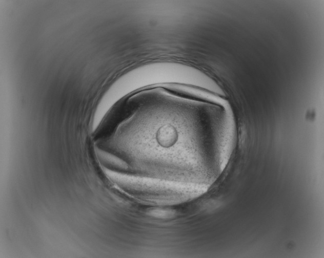 X0000110960221200907022229