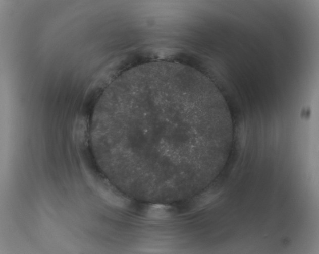 X0000110960222200907022229