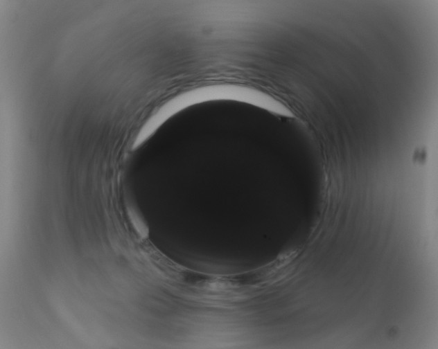 X0000110960223200907022229