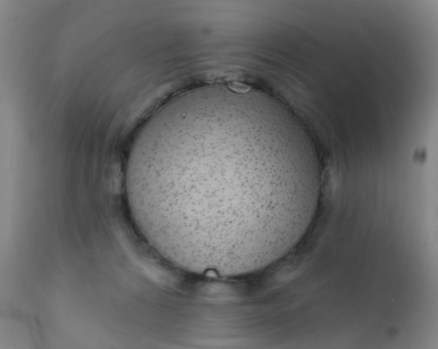 X0000110960224200907022229