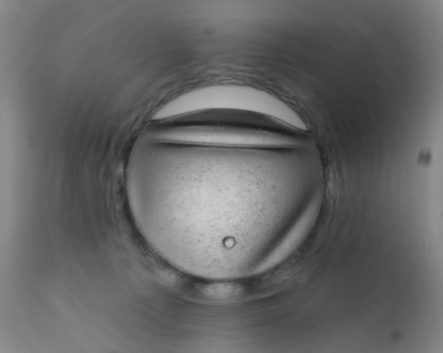 X0000110960225200907022229