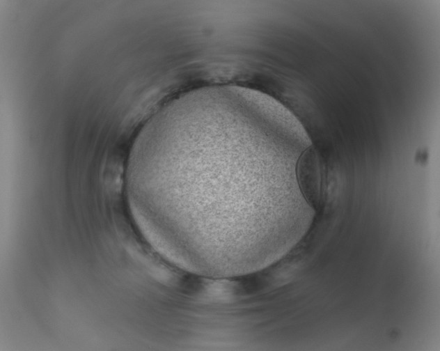 X0000110960226200907022229