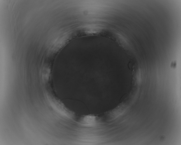 X0000110960227200907022229