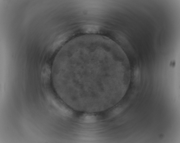 X0000110960228200907022229