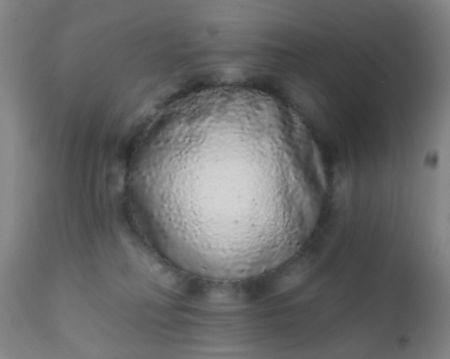 X0000110960230200907022228