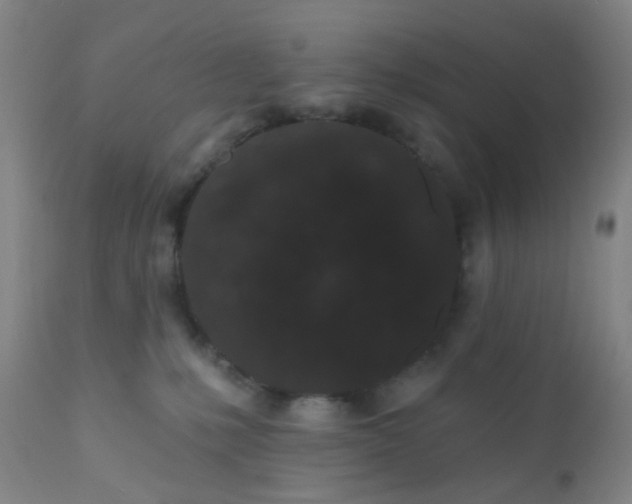 X0000110960231200907022228