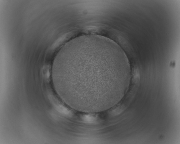 X0000110960232200907022228