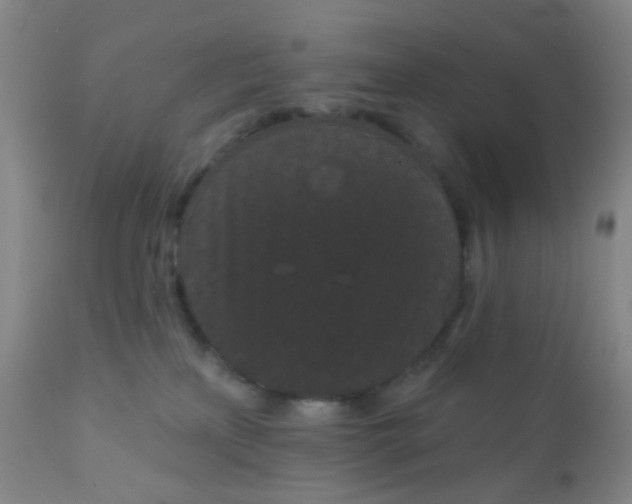 X0000110960233200907022228