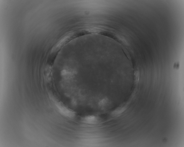 X0000110960237200907022228