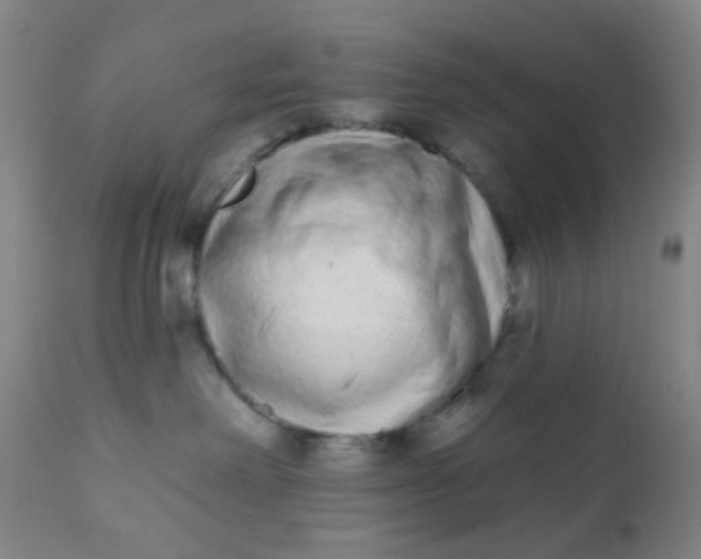 X0000110960238200907022228