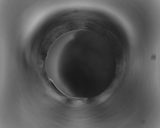 X0000110960239200907022228