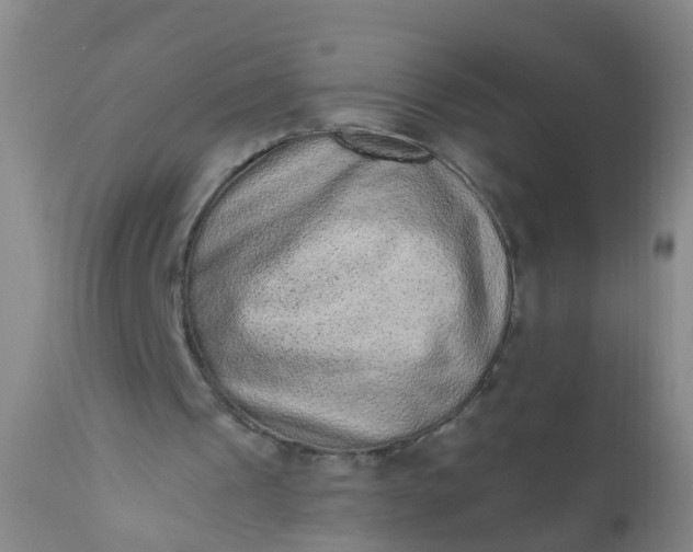 X0000110960241200907022227