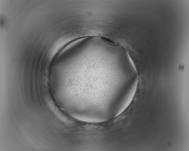 X0000110960242200907022227