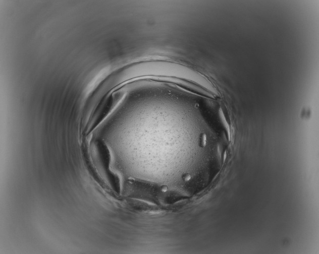 X0000110960244200907022227