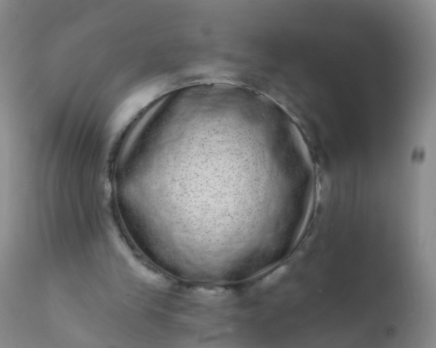 X0000110960245200907022227