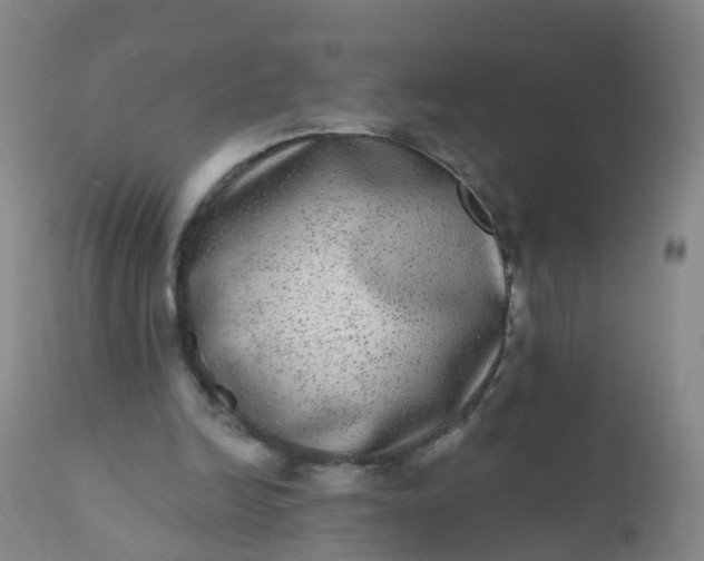 X0000110960246200907022227