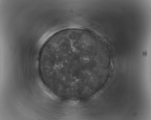 X0000110960247200907022227