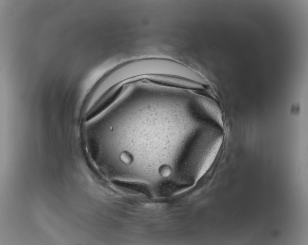 X0000110960248200907022227