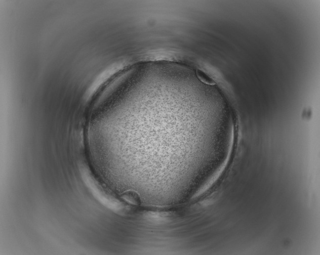 X0000110960250200907022227