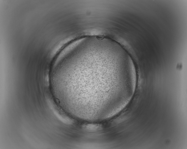 X0000110960251200907022227