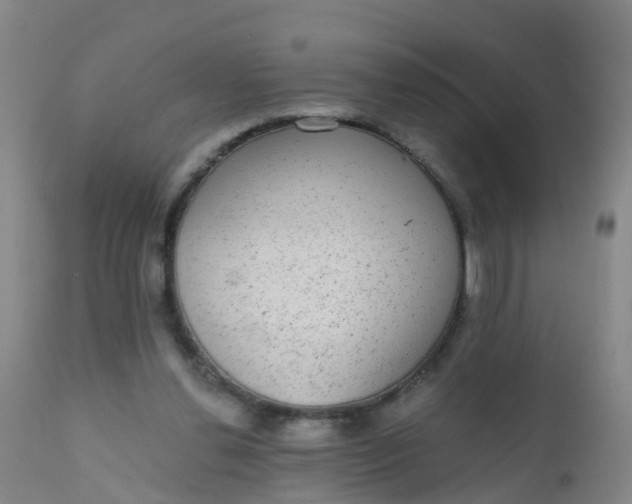 X0000110960252200907022227