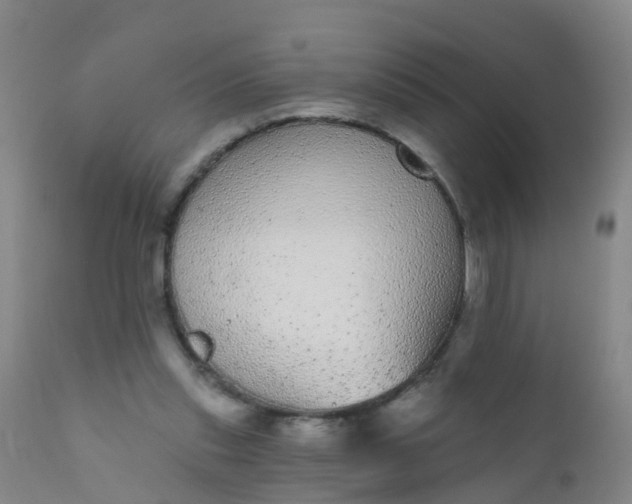 X0000110960253200907022228