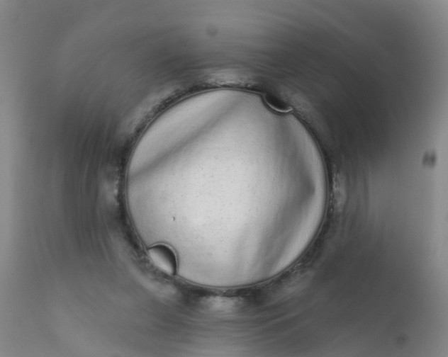 X0000110960255200907022228