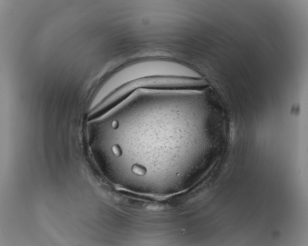 X0000110960256200907022228