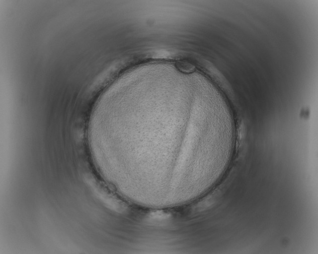 X0000110960257200907022228