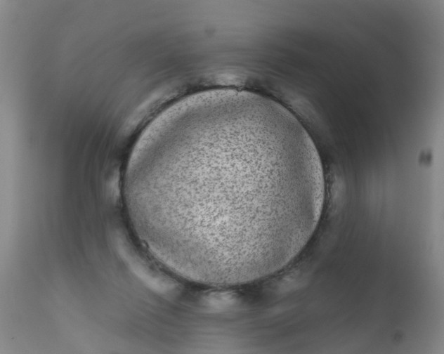 X0000110960262200907022228