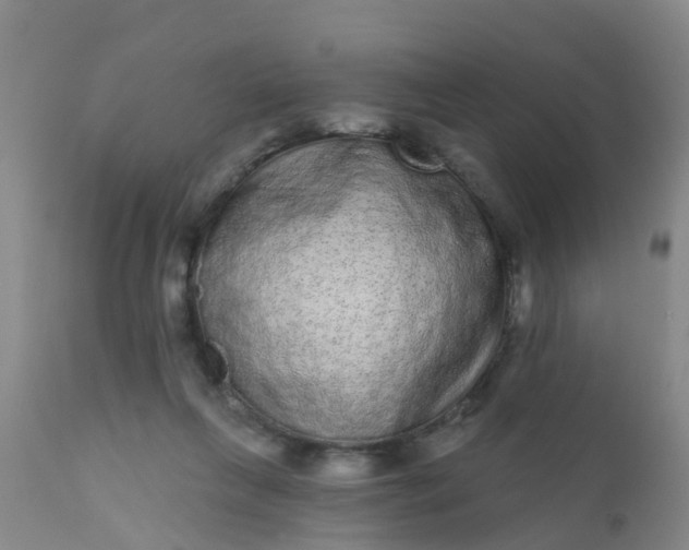 X0000110960263200907022228