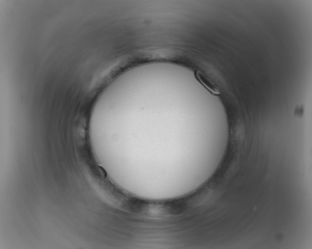 X0000110960264200907022228