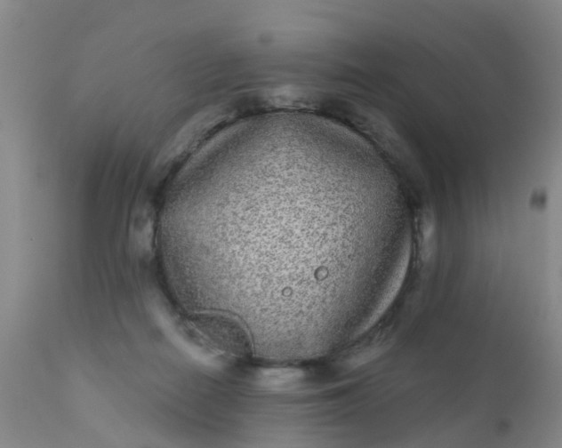 X0000110960266200907022228