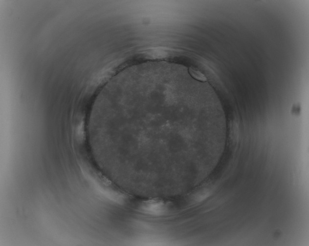 X0000110960267200907022228