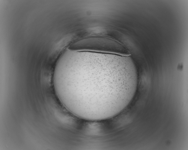 X0000110960268200907022228