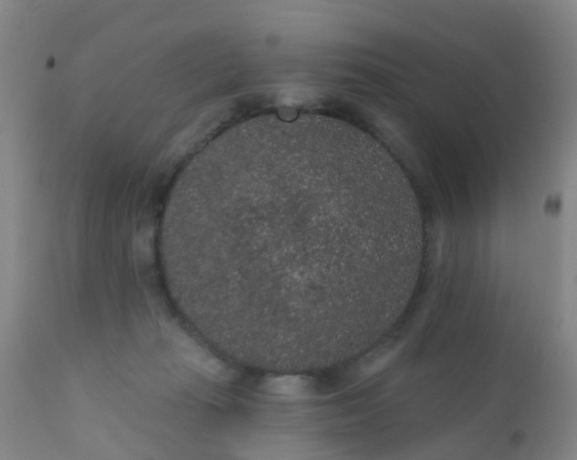 X0000110960269200907022228