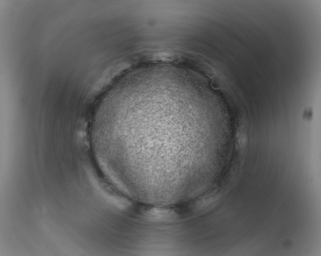 X0000110960270200907022228