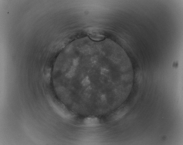 X0000110960271200907022228