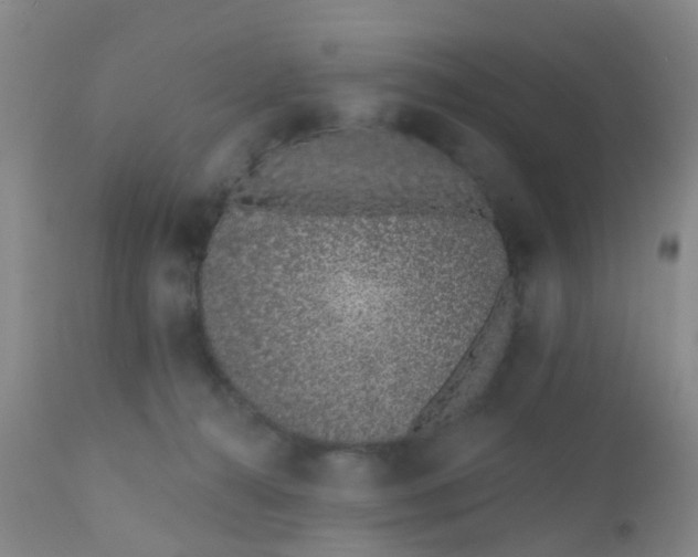 X0000110960272200907022228