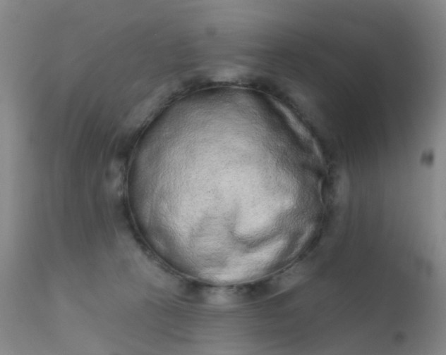 X0000110960273200907022228