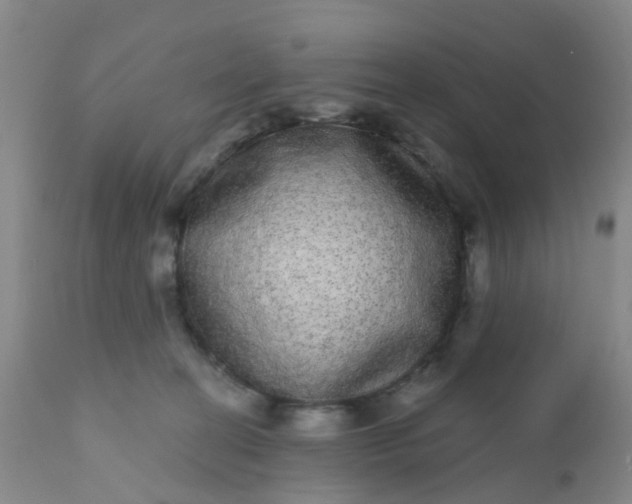 X0000110960274200907022228