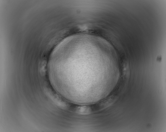 X0000110960275200907022228