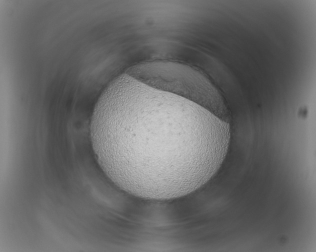 X0000110960276200907022228