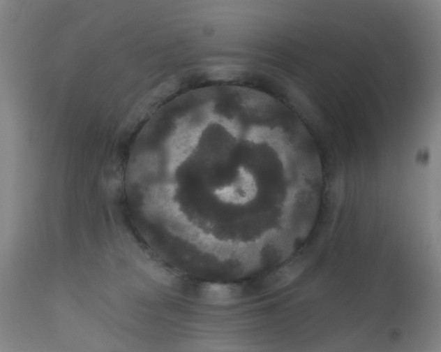 X0000110960277200907022228