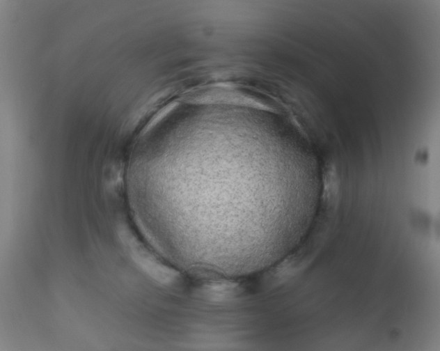 X0000110960278200907022228