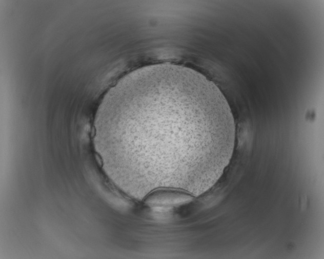 X0000110960279200907022228