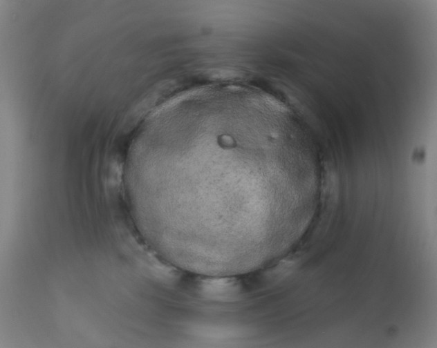 X0000110960281200907022228