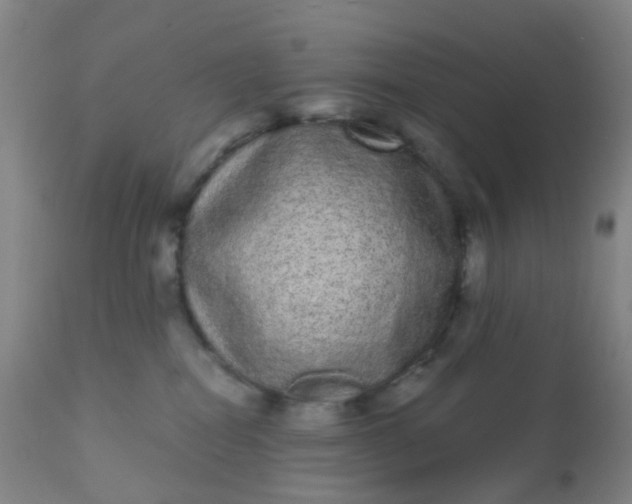 X0000110960282200907022228