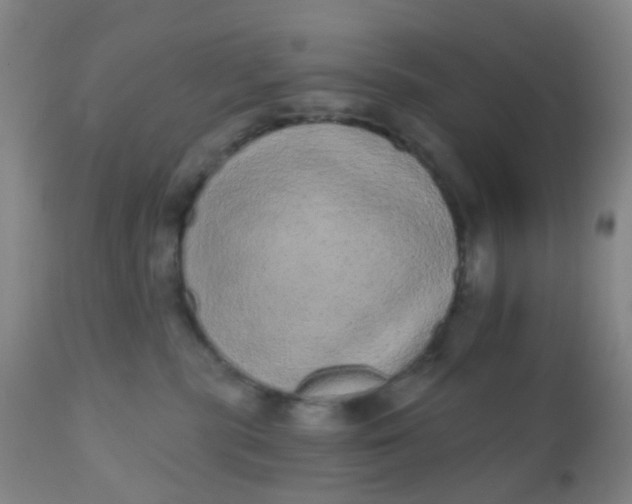 X0000110960283200907022228