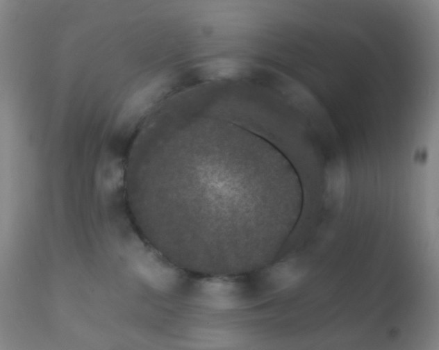 X0000110960284200907022228